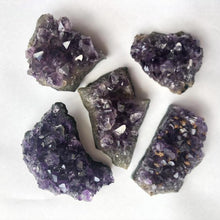 Load image into Gallery viewer, Amethyst Clusters - Luna Lane Crystals