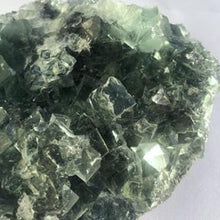 Load image into Gallery viewer, Green Fluorite Clusters - Luna Lane Crystals