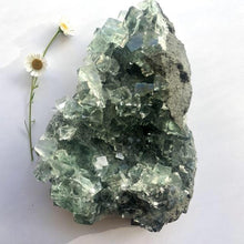 Load image into Gallery viewer, Green Fluorite Clusters - Luna Lane Crystals