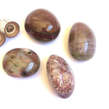 Load image into Gallery viewer, Medium Fancy Jasper Palm Stones - Luna Lane Crystals