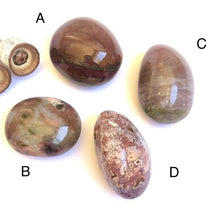 Load image into Gallery viewer, Medium Fancy Jasper Palm Stones - Luna Lane Crystals
