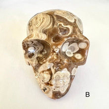 Load image into Gallery viewer, Petrified Coral Skull Carving - Luna Lane Crystals