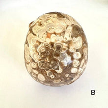 Load image into Gallery viewer, Petrified Coral Skull Carving - Luna Lane Crystals