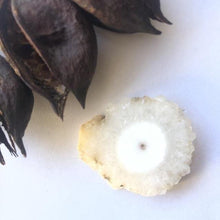 Load image into Gallery viewer, Small Agate Slice - Luna Lane Crystals