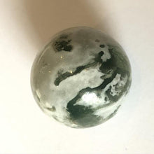 Load image into Gallery viewer, Tree Agate Spheres - Marble - Luna Lane Crystals
