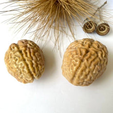 Load image into Gallery viewer, Yellow Aventurine Brain Carvings - Luna Lane Crystals