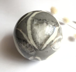 Large Shell Jasper Sphere - Luna Lane Crystals