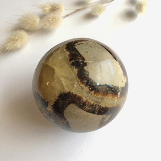 Medium Septarian Spheres - Luna Lane Crystals