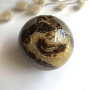 Medium Septarian Spheres - Luna Lane Crystals