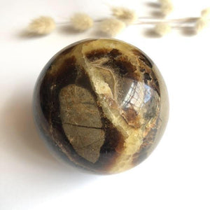 Medium Septarian Spheres - Luna Lane Crystals