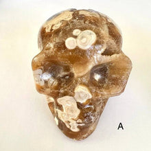 Load image into Gallery viewer, Petrified Coral Skull Carving - Luna Lane Crystals
