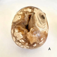 Load image into Gallery viewer, Petrified Coral Skull Carving - Luna Lane Crystals
