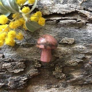Rhodonite Mini Mushroom - Luna Lane Crystals