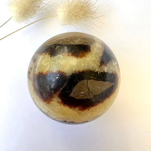 Small Septarian Spheres - Luna Lane Crystals