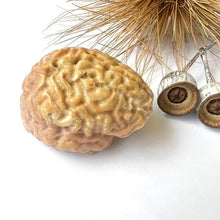 Load image into Gallery viewer, Yellow Aventurine Brain Carvings - Luna Lane Crystals
